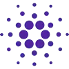 Zvelmorank plataforma cripto